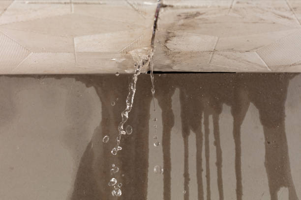 Professional Sewage Cleanup technician working in Warden, WA